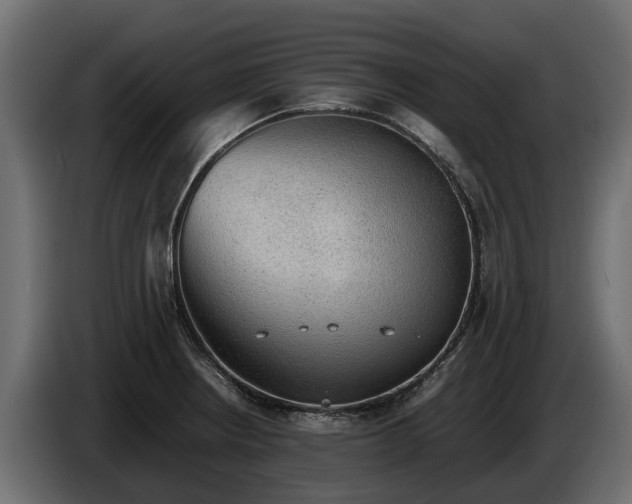 X0000085781234200703231238