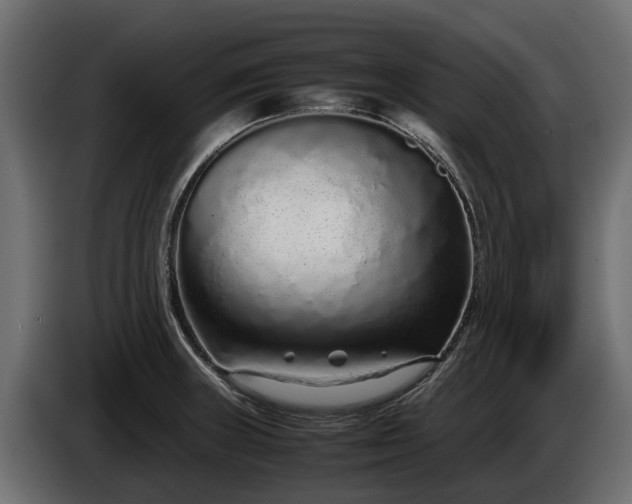 X0000085781235200703231238