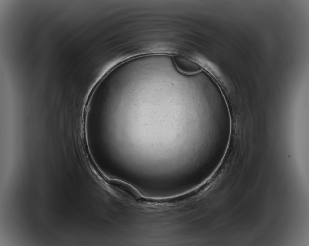 X0000085781236200703231238