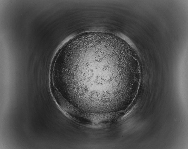 X0000085781237200703231238