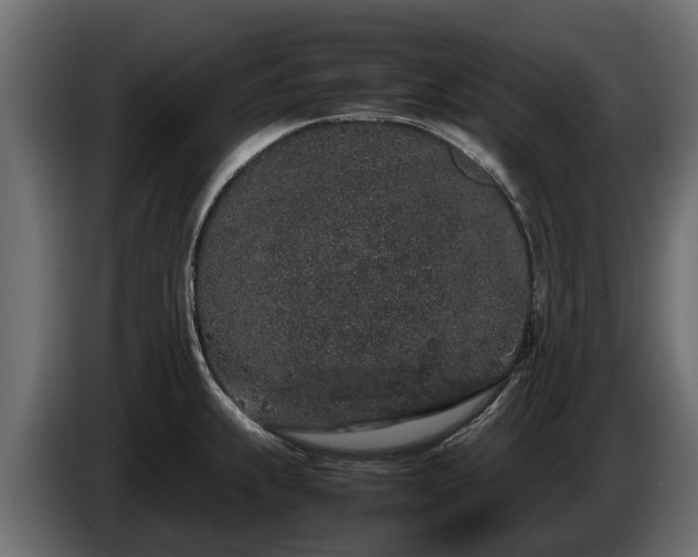 X0000085781239200703231238