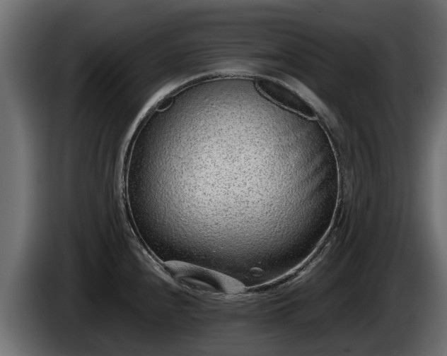 X0000085781240200703231238