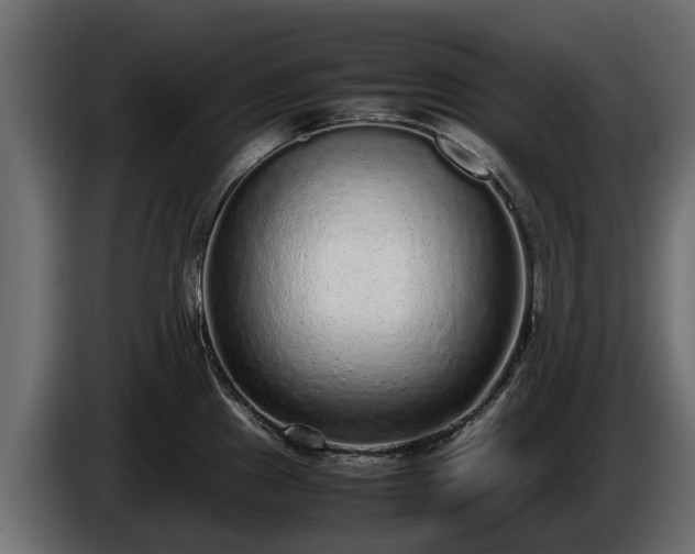 X0000085781241200703231238