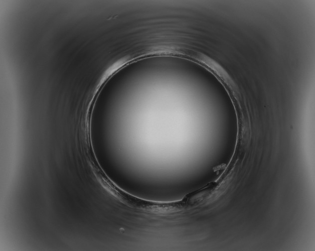 X0000085781242200703231238