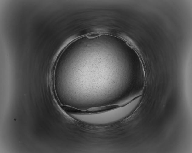 X0000085781243200703231238