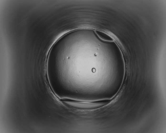 X0000085781244200703231238