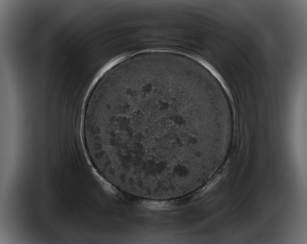 X0000085781245200703231238