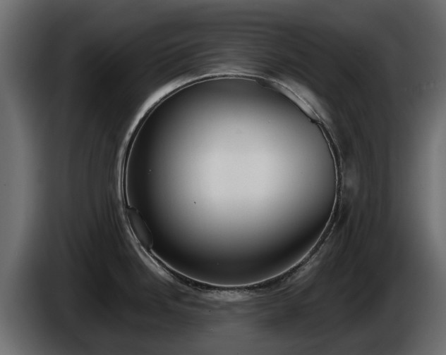 X0000085781246200703231238