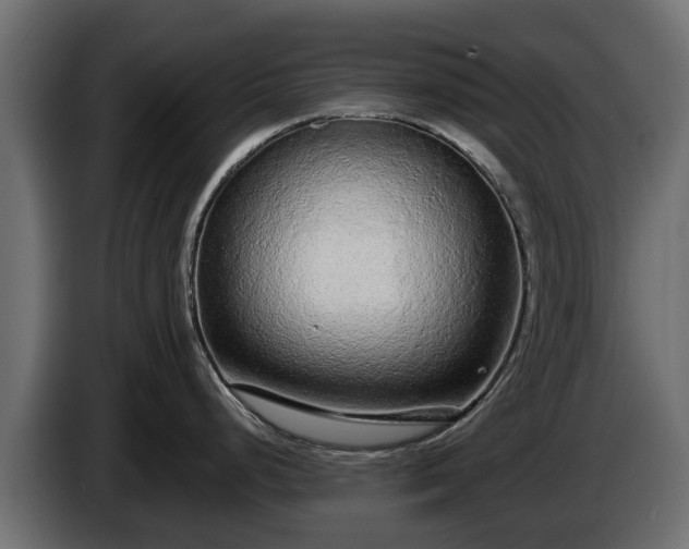 X0000085781248200703231238