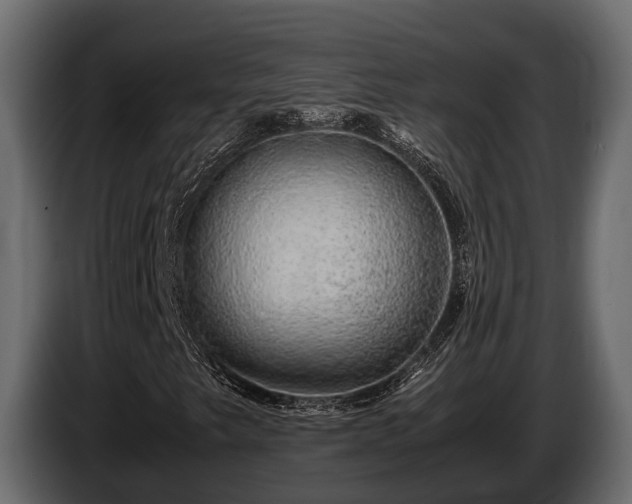 X0000085781249200703231238