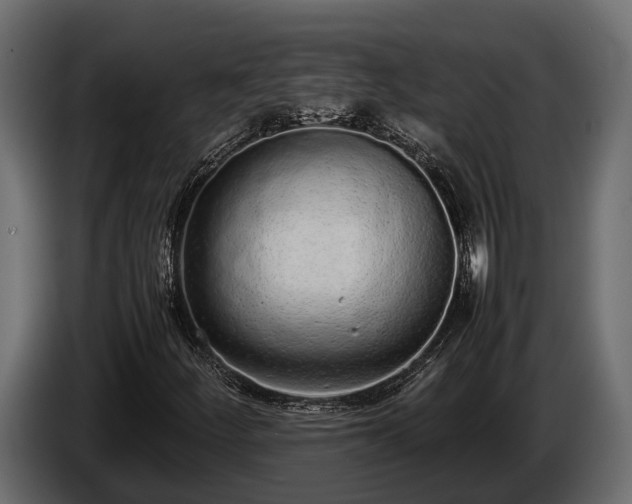 X0000085781252200703231238