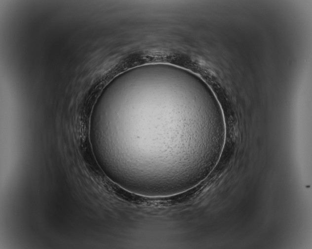 X0000085781253200703231238