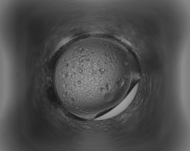 X0000085781255200703231238