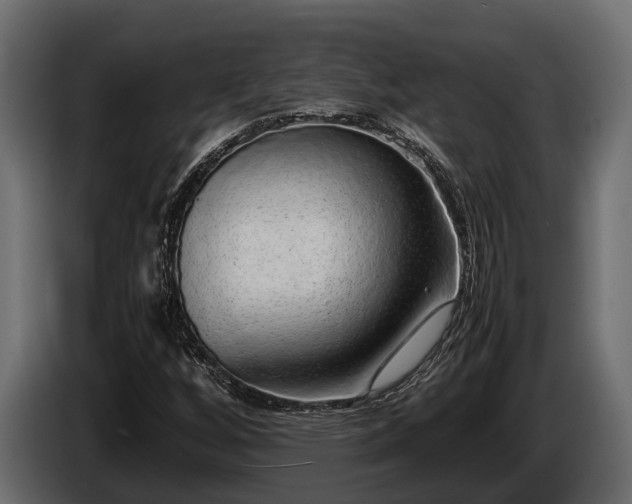 X0000085781256200703231238