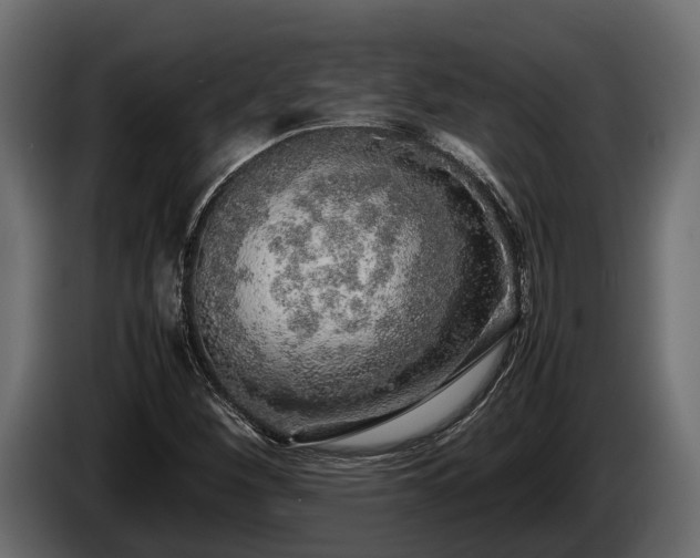 X0000085781260200703231237