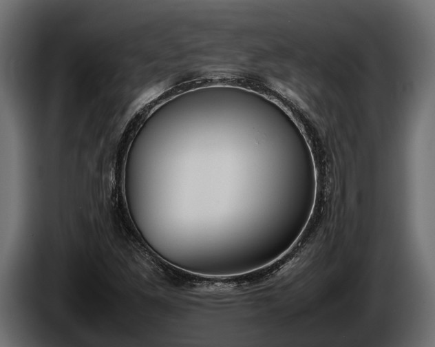 X0000085781261200703231237