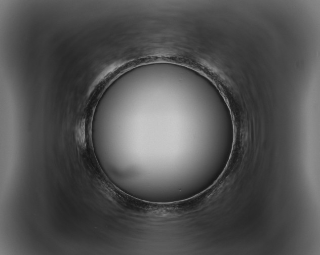 X0000085781262200703231237