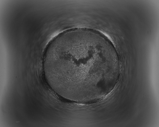 X0000085781263200703231237