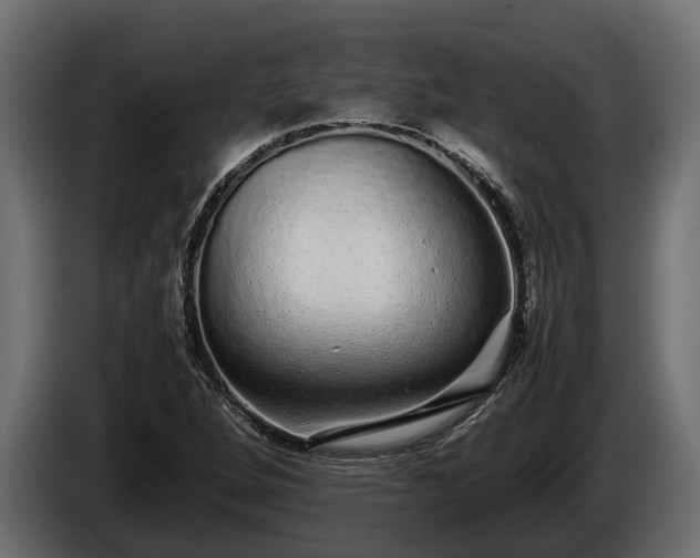 X0000085781264200703231237