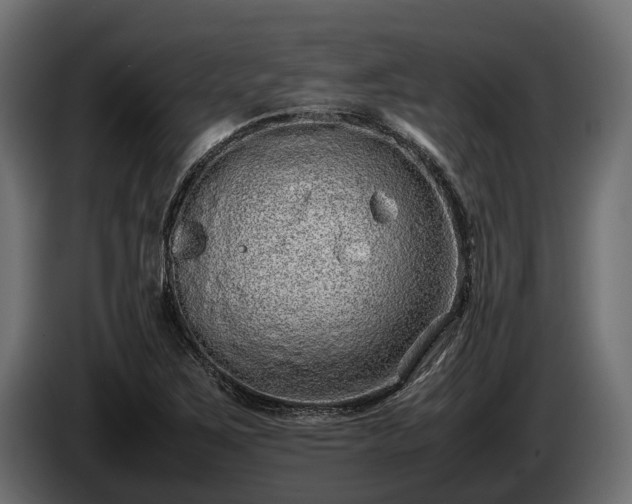 X0000085781267200703231237