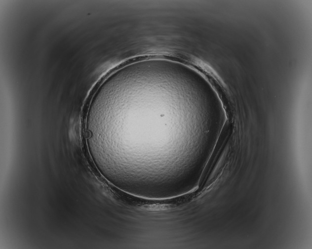 X0000085781268200703231237