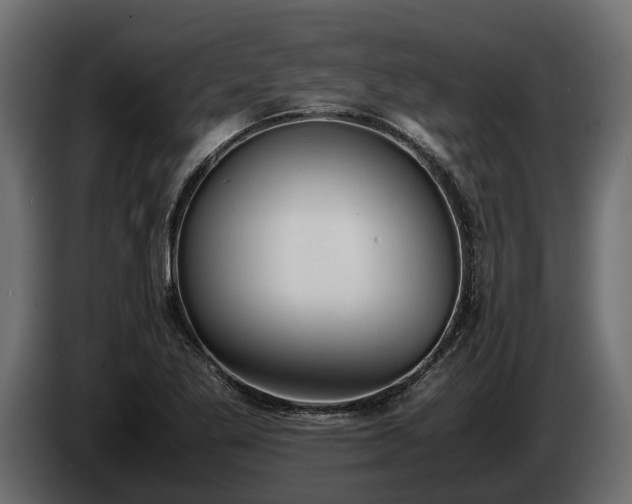 X0000085781269200703231237