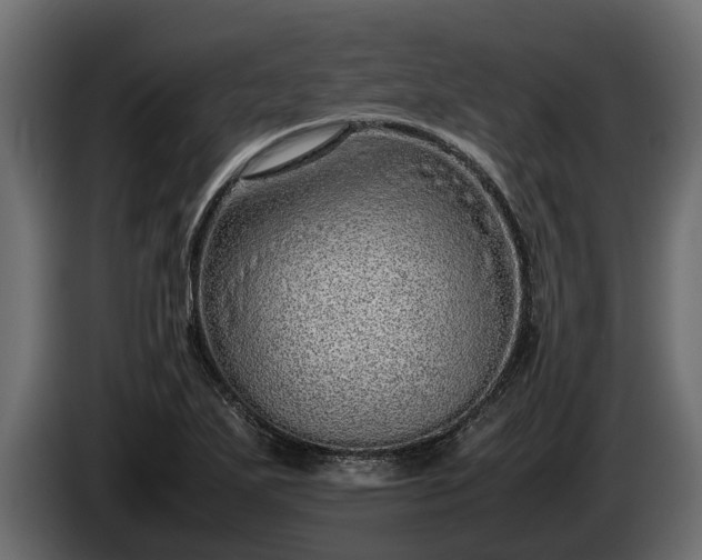 X0000085781271200703231237