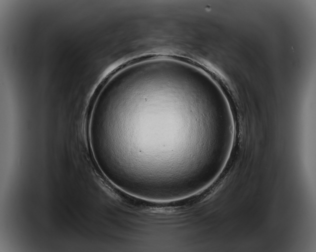 X0000085781272200703231237