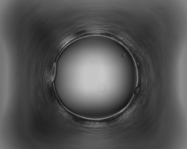 X0000085781273200703231237