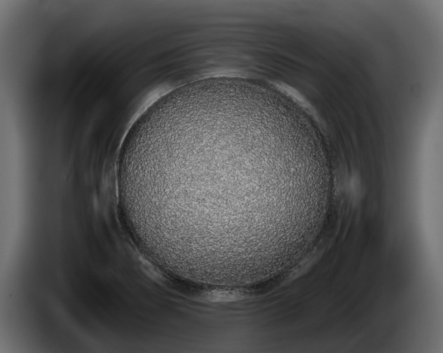 X0000085781274200703231237