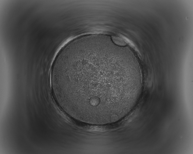 X0000085781275200703231237