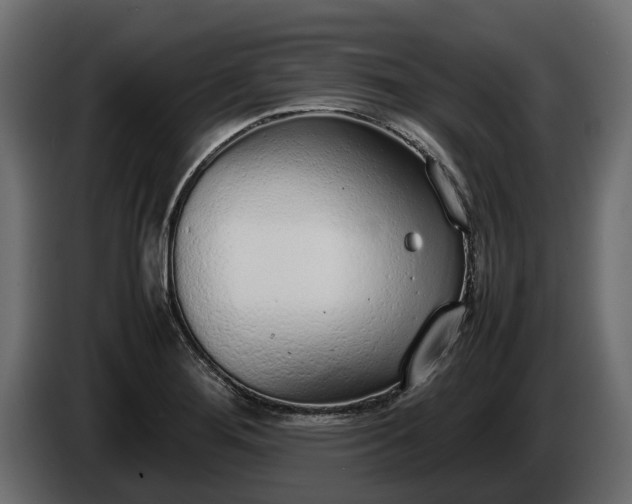 X0000085781276200703231237