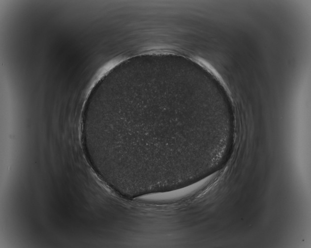 X0000085781277200703231237