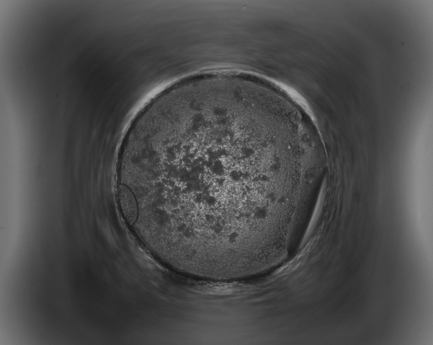 X0000085781279200703231237