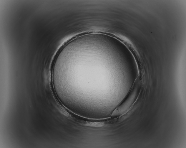 X0000085781280200703231237