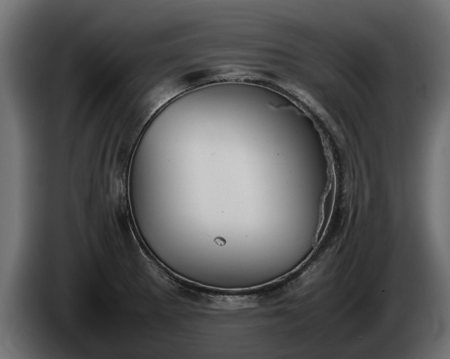 X0000085781281200703231237