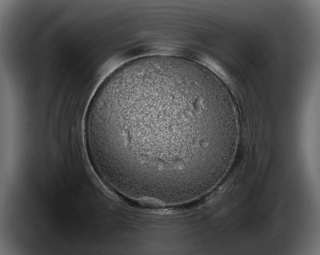 X0000085781283200703231237