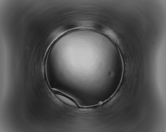 X0000085781284200703231237