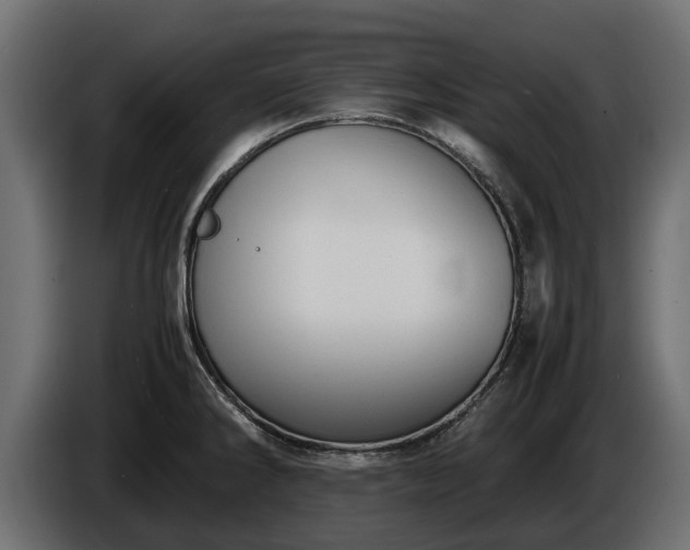 X0000085781286200703231237