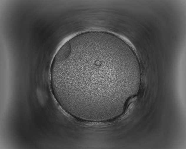 X0000085781287200703231237