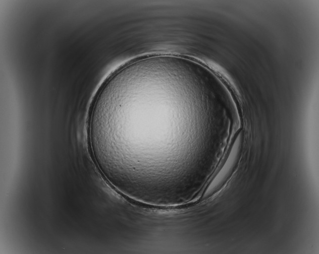 X0000085781288200703231237