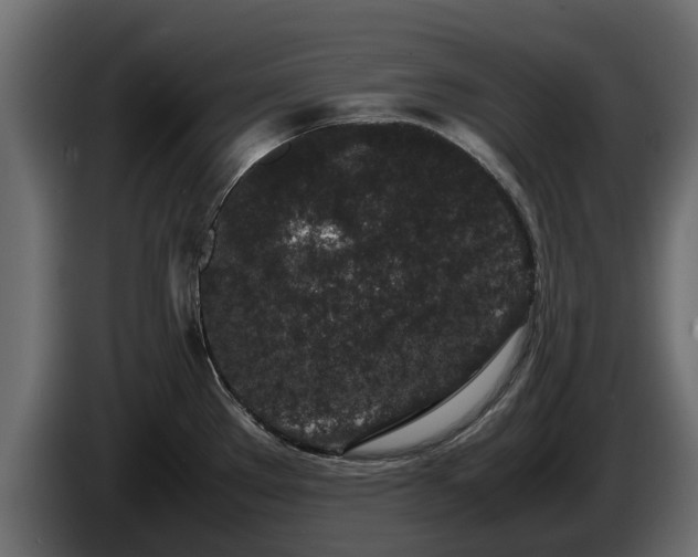 X0000085781289200703231237