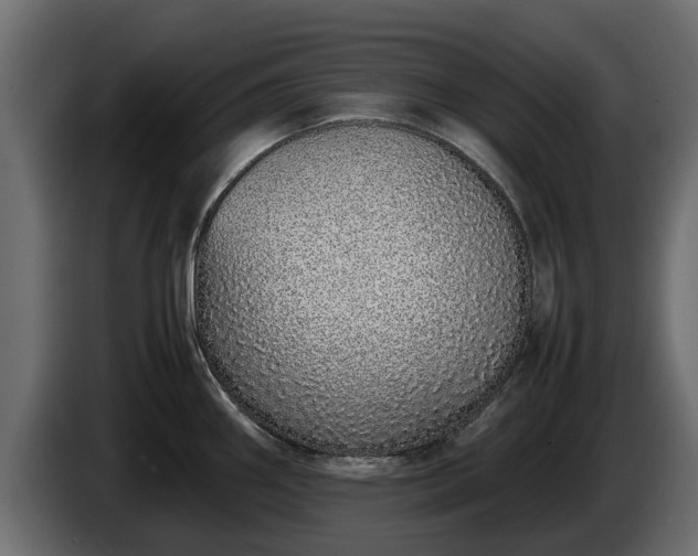 X0000085781290200703231237