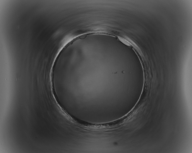 X0000085781291200703231237