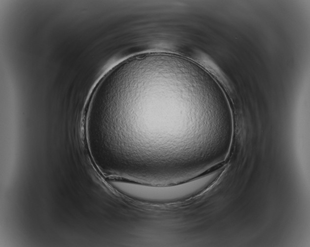 X0000085781292200703231237