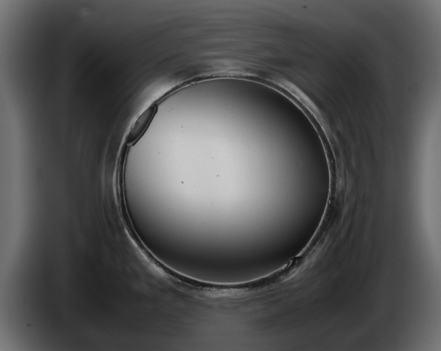 X0000085781293200703231237