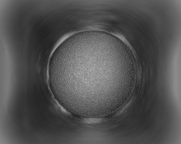 X0000085781294200703231237