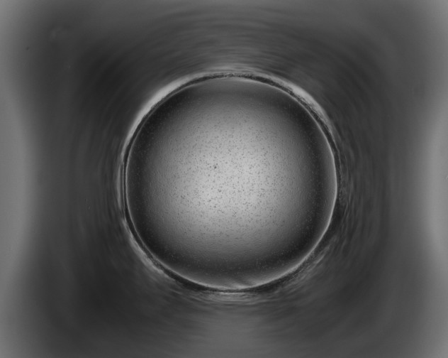 X0000085781295200703231237