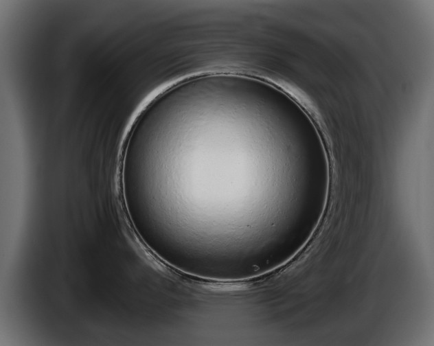 X0000085781296200703231237