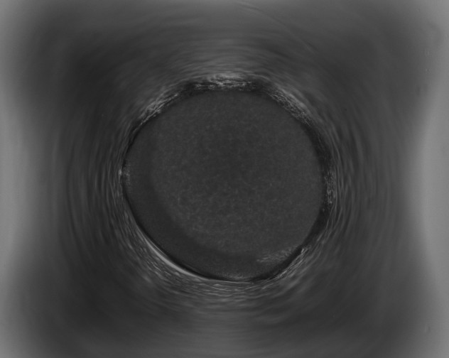 X0000085781298200703231236